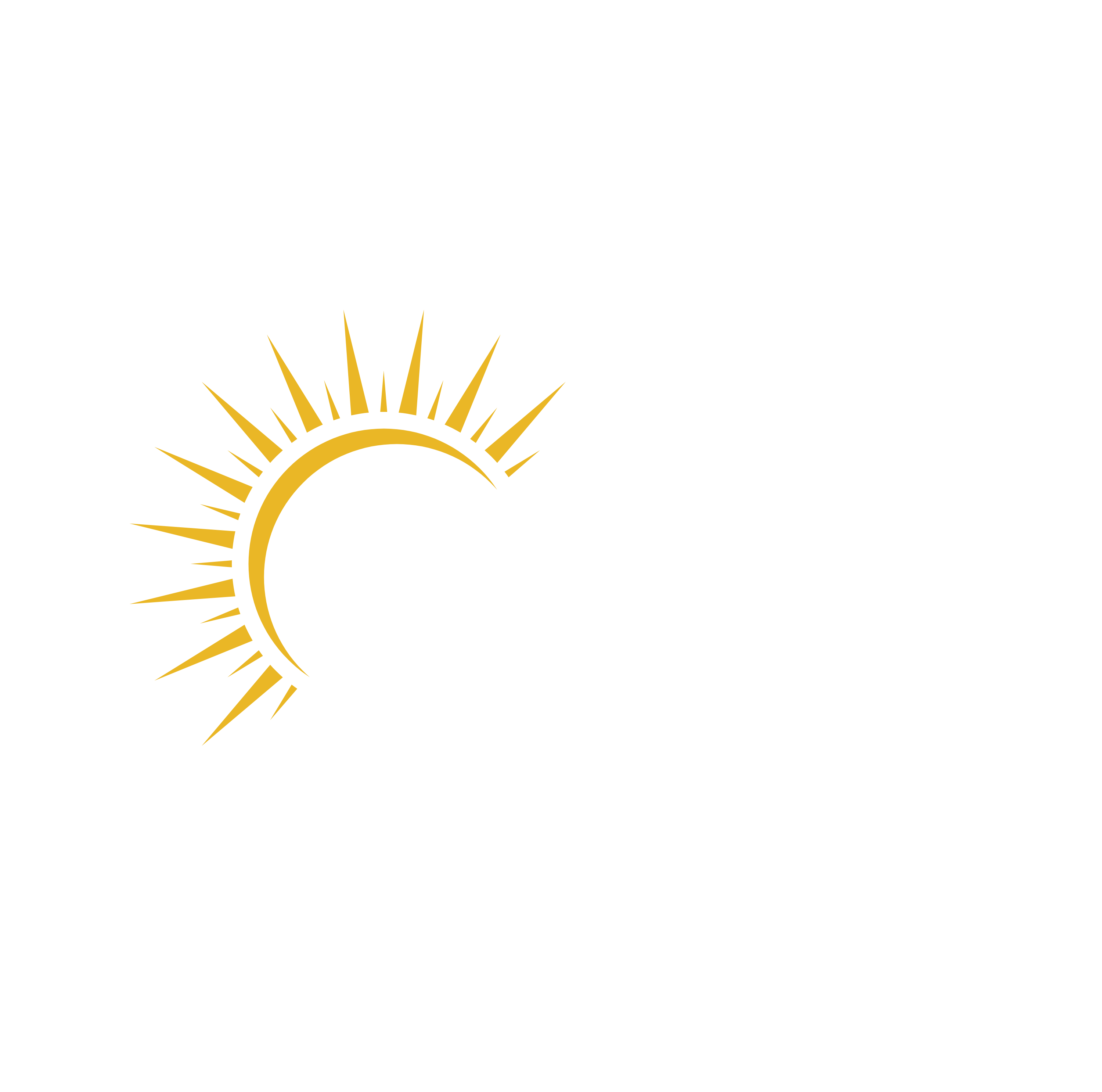 Leo Alcaraz Logo